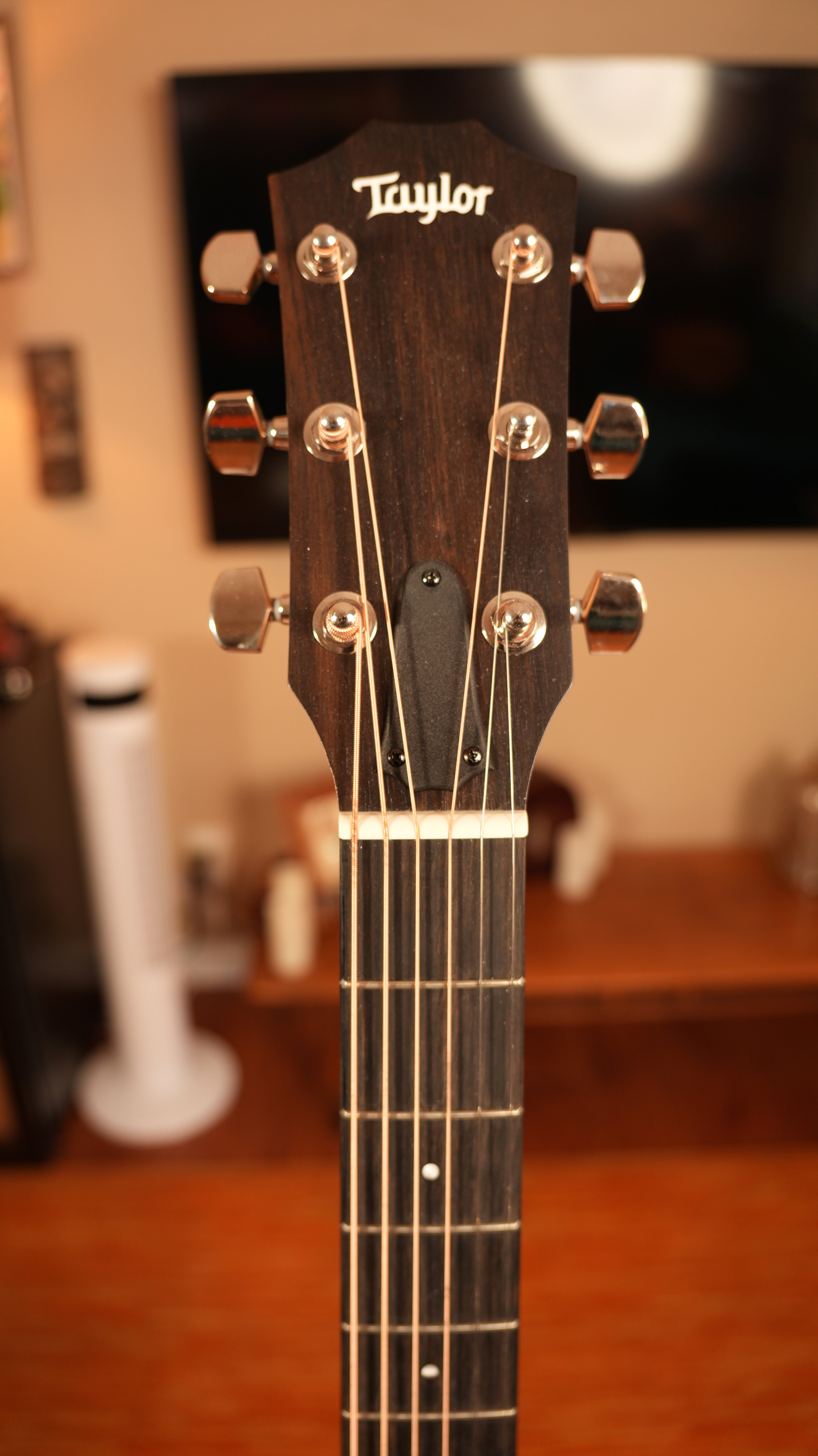 2024 Taylor 210ce Plus - Natural