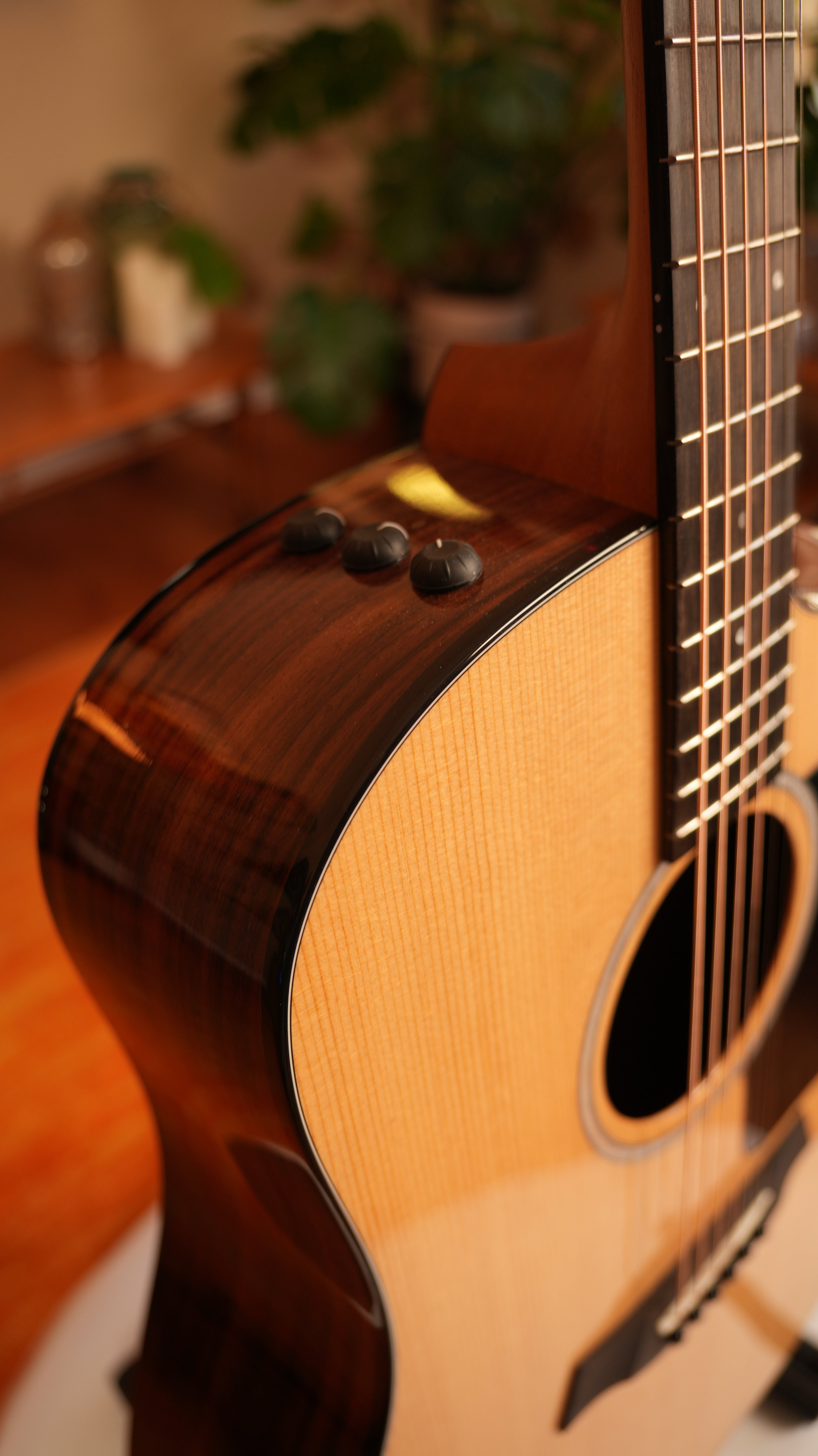 2024 Taylor 210ce Plus - Natural