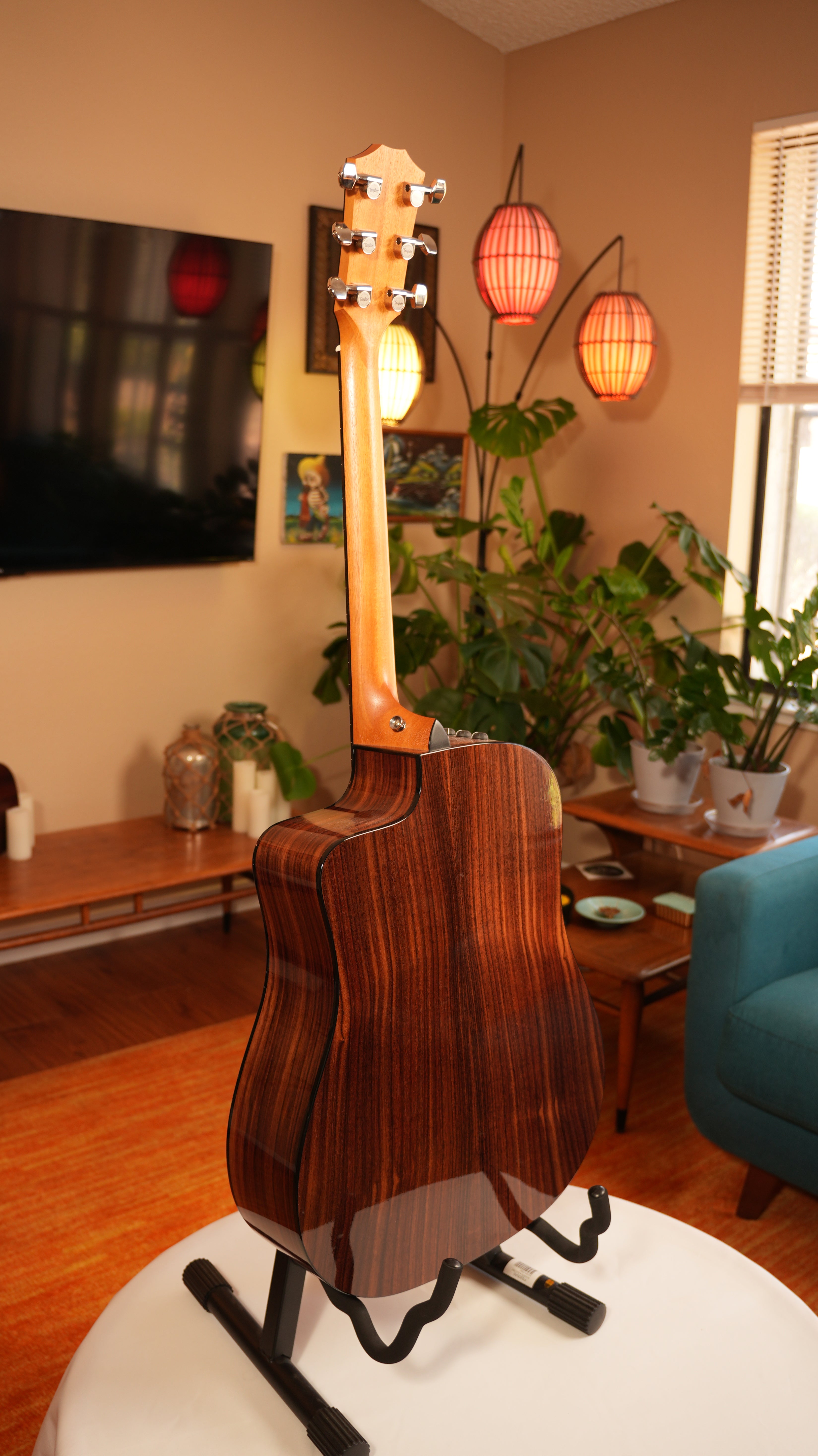 2024 Taylor 210ce Plus - Natural