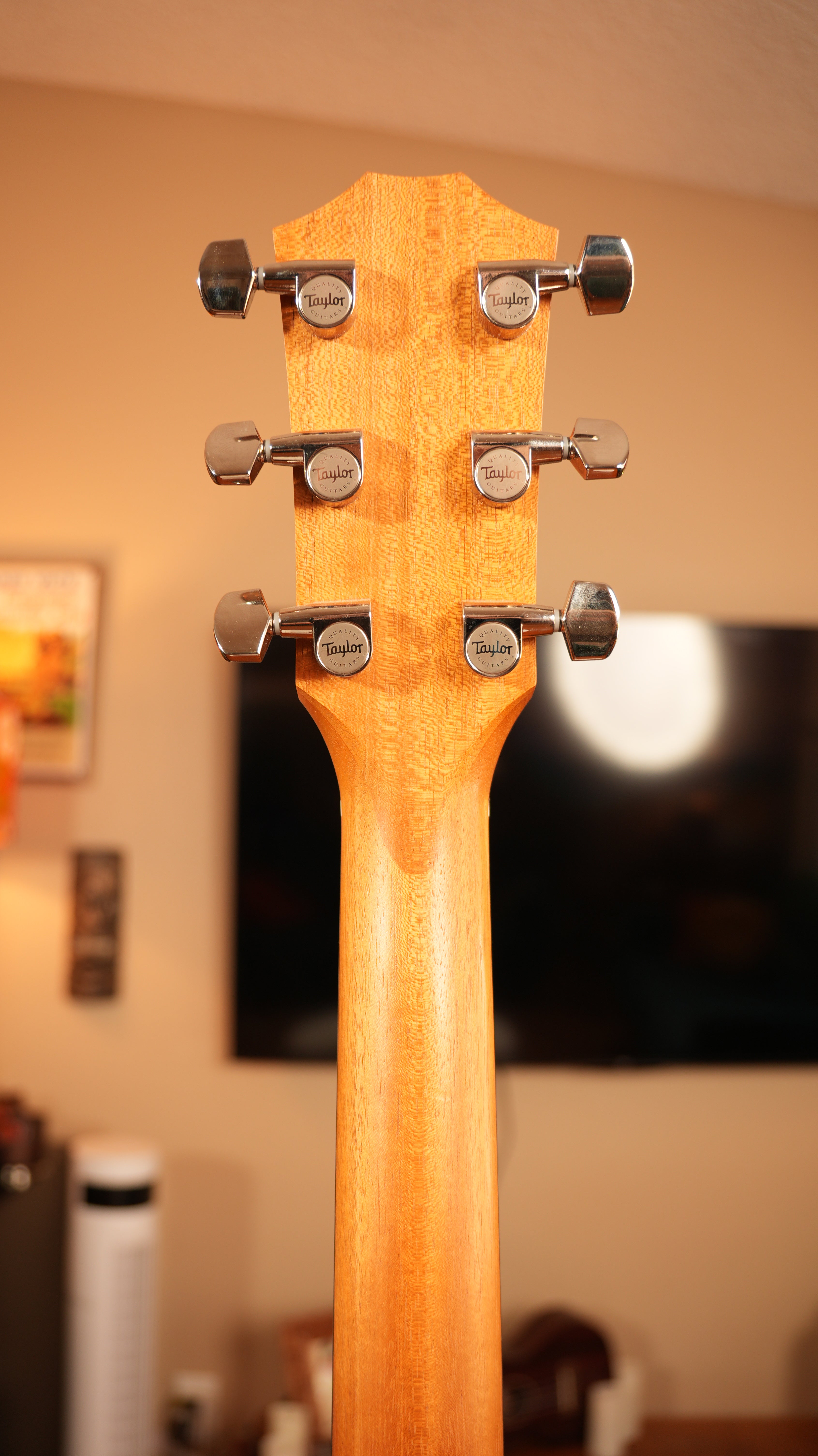 2024 Taylor 210ce Plus - Natural