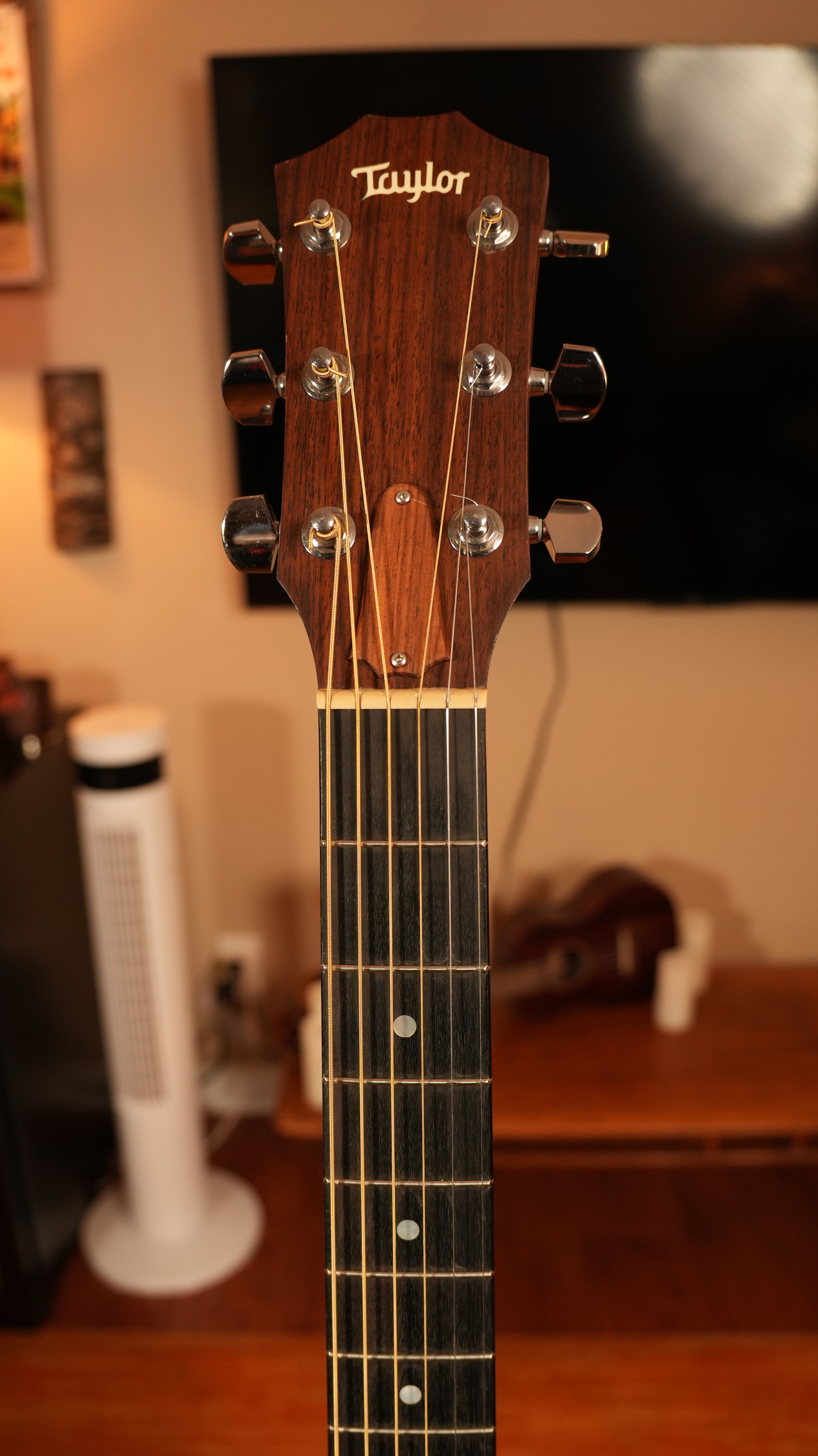 2004 Taylor 310 Dreadnought + OHSC (Made in USA)