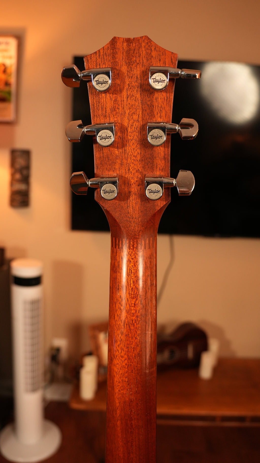 2004 Taylor 310 Dreadnought + OHSC (Made in USA)