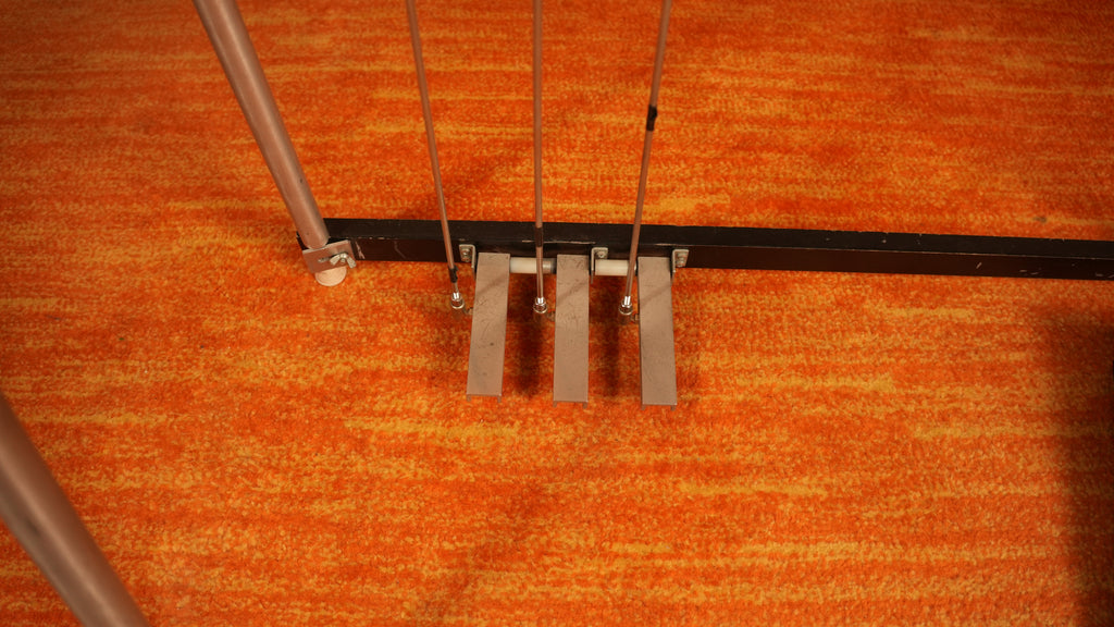 SOLD - Carter Starter 10-String E9 Pedal Steel Guitar